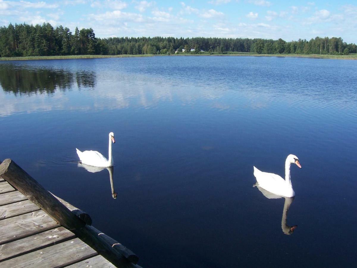 Domwigierski Pl -Jeziorki -Gr- Comfort-Ferienhaus-Polen - Wlasna Linia Brzegowa I Sauna Wysoki Most  Dış mekan fotoğraf